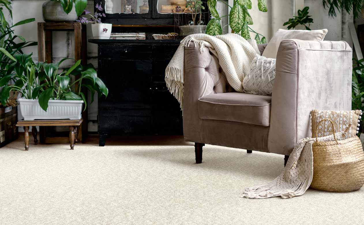 Living room with a velvet accent chair and beige carpet