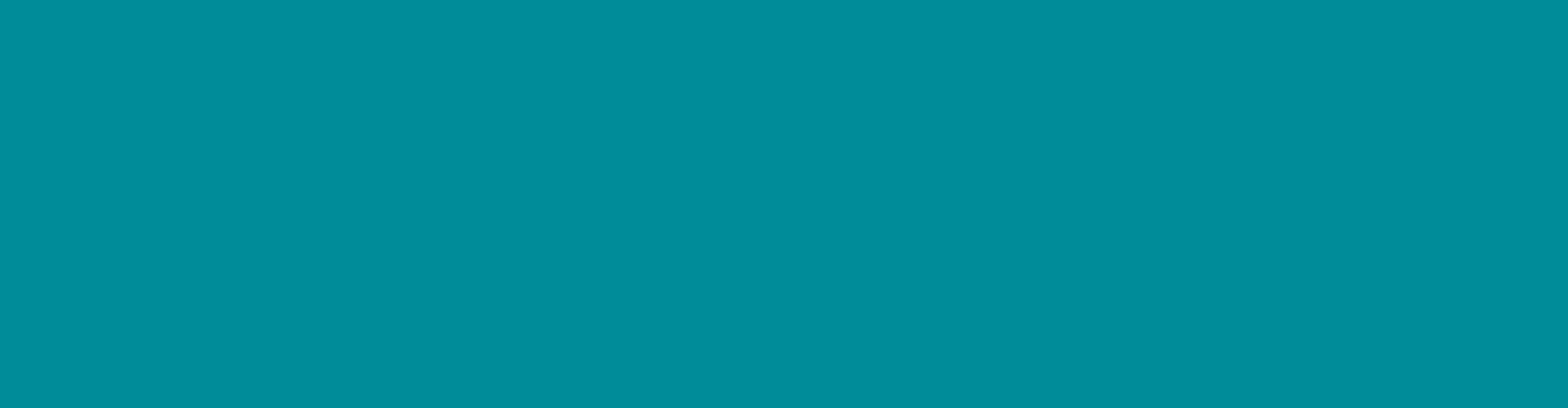 Carpet One teal blue banner